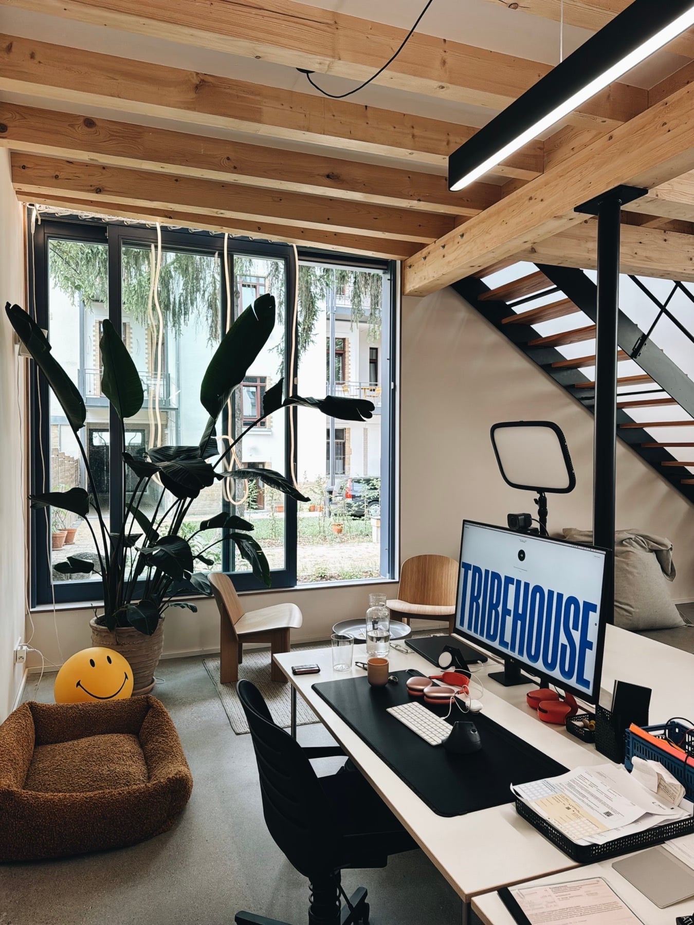 Der Focus Room: Schreibtisch mit Screen, Pflanzen, Blick in den Hof