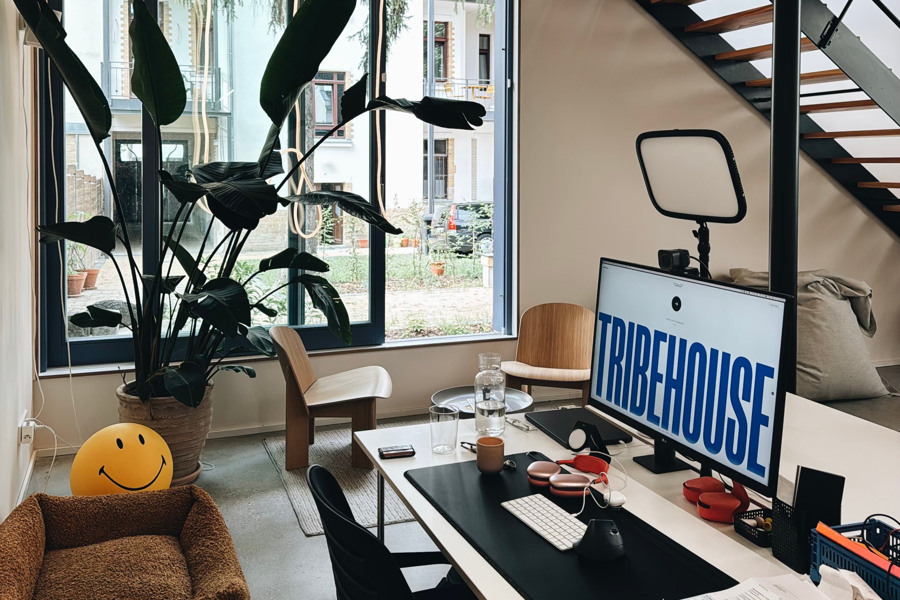 Ein Platz auf der Fokus-Etage: Schreibtisch am Fenster, Monitor, Strelitzie, Holzbalken