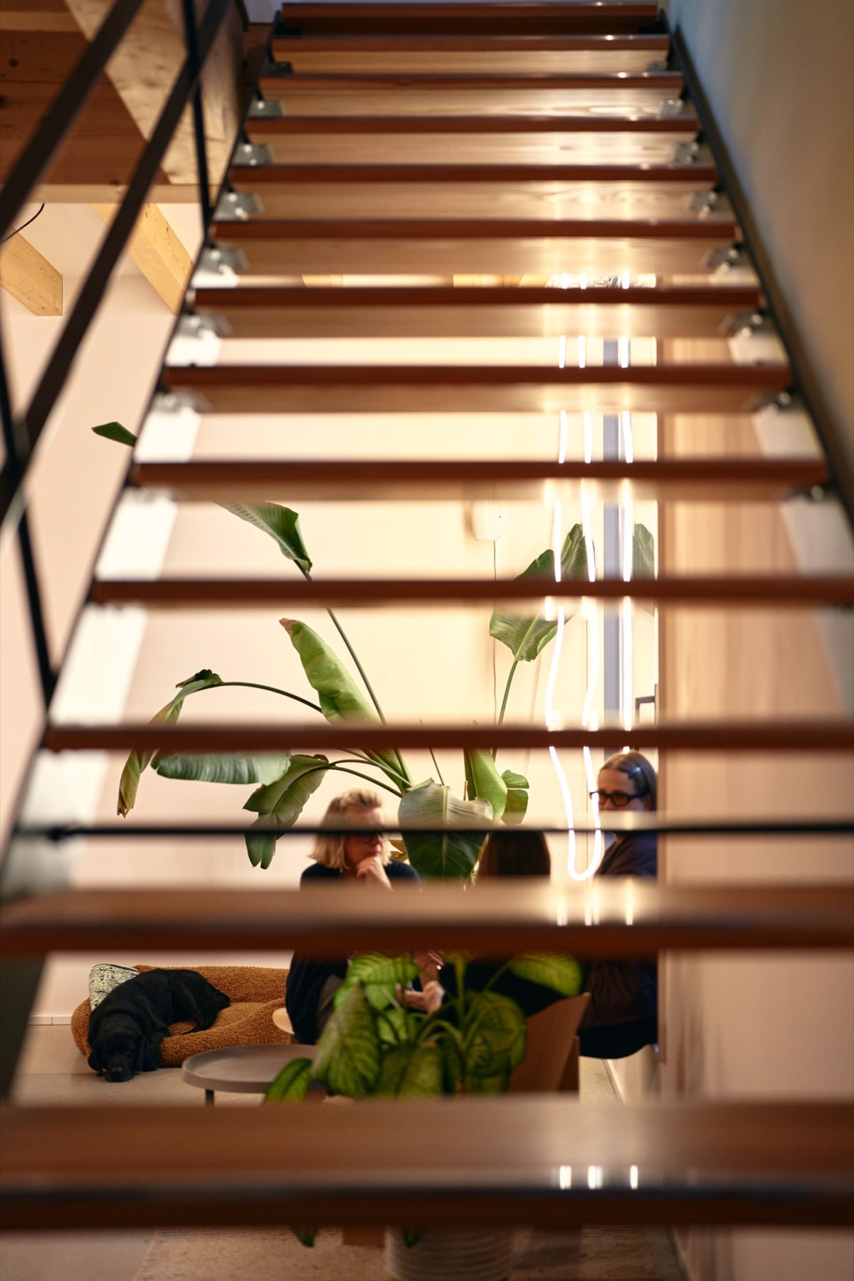 Blick über die Treppe ins Erdgeschoss