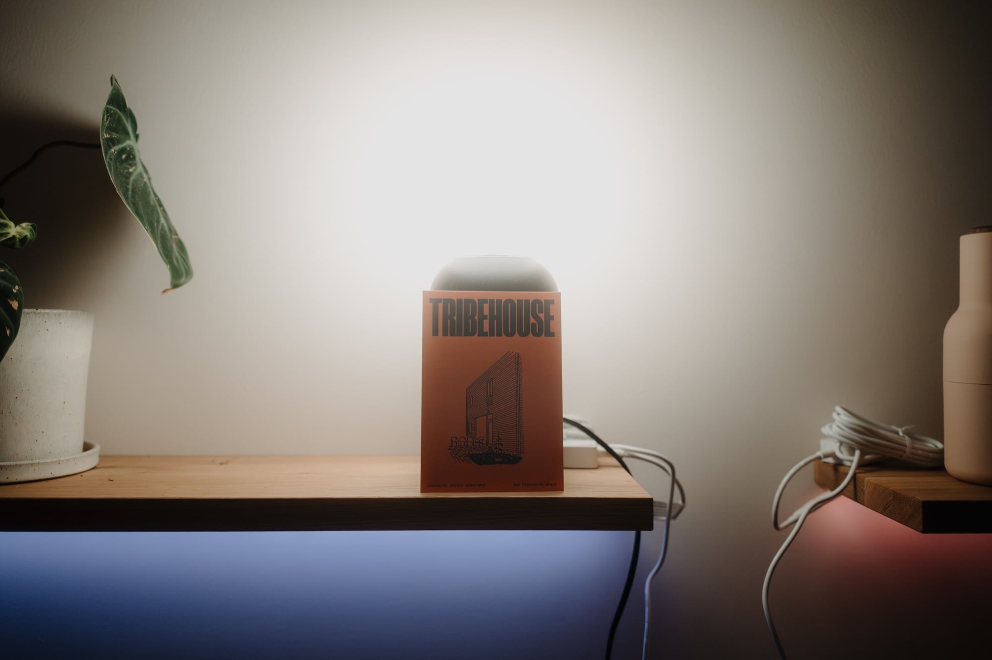 Eine Box mit tribehouse Aufdruck auf der Theke