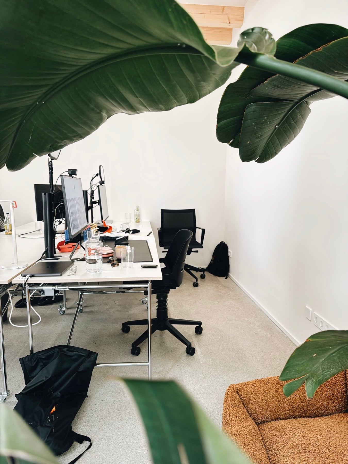 Einzeldesk mit Pflanzen im Focus Room
